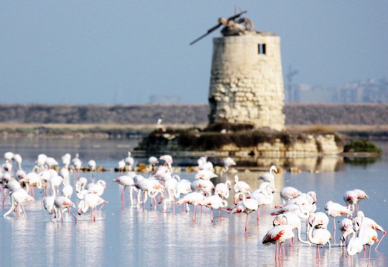 Salt Pans of Trapani